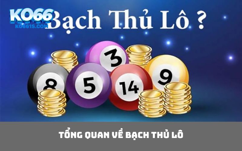 Tổng quan về bạch thủ lô