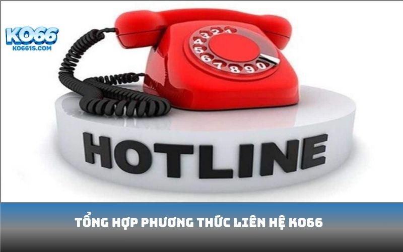 Tổng hợp phương thức liên hệ Ko66