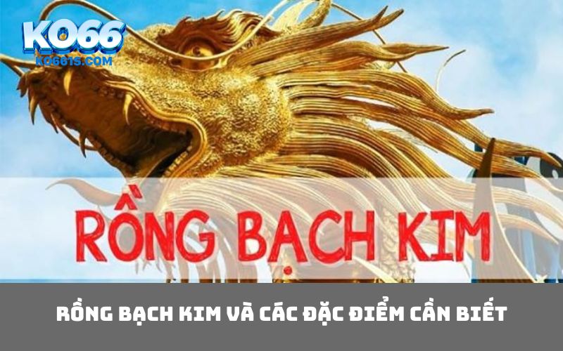 Rồng bạch kim và các đặc điểm cần biết